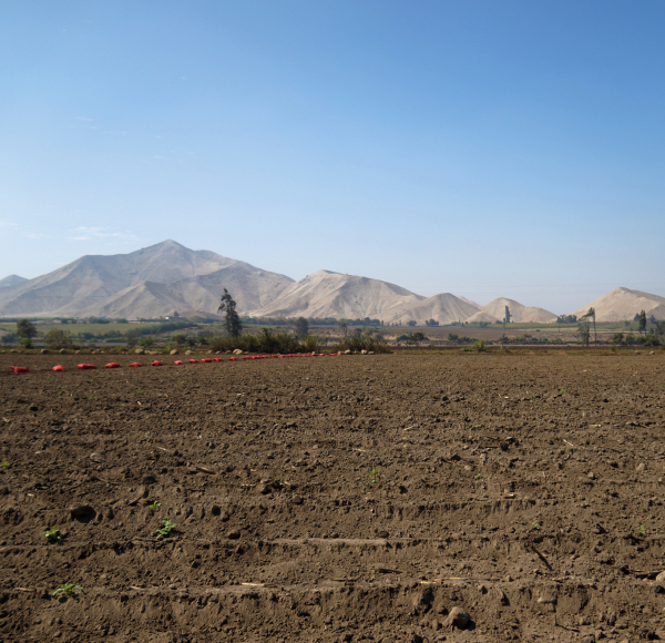 Minera Aurea - Pativilca 2